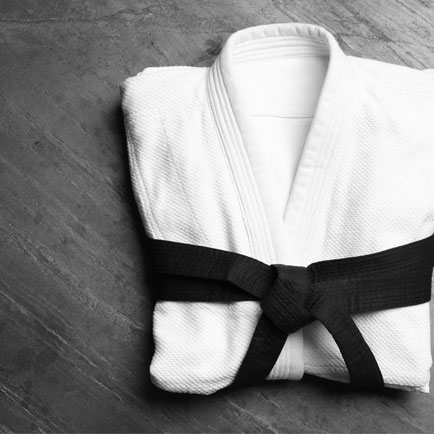 Japanese Shotokan Karate